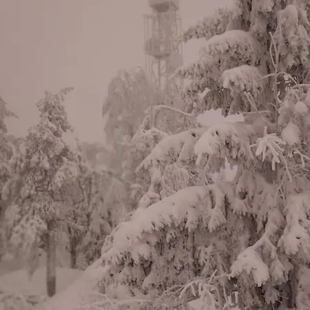 Ski-in: Moekistae Suksilla Suoraan Maekeen Tai Ladulle *
