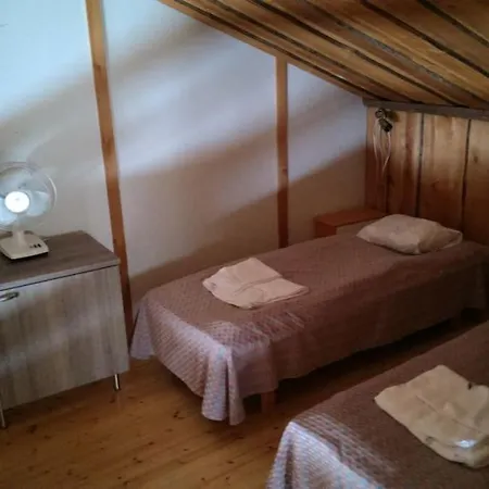 Ski-in: Moekistae Suksilla Suoraan Maekeen Tai Ladulle *